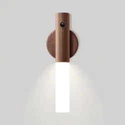 Modern LED Desk Lamp